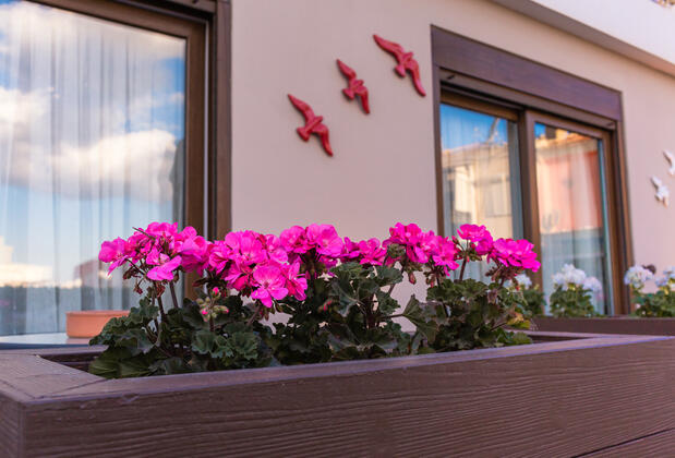 Eleven Hotel - Görsel 7