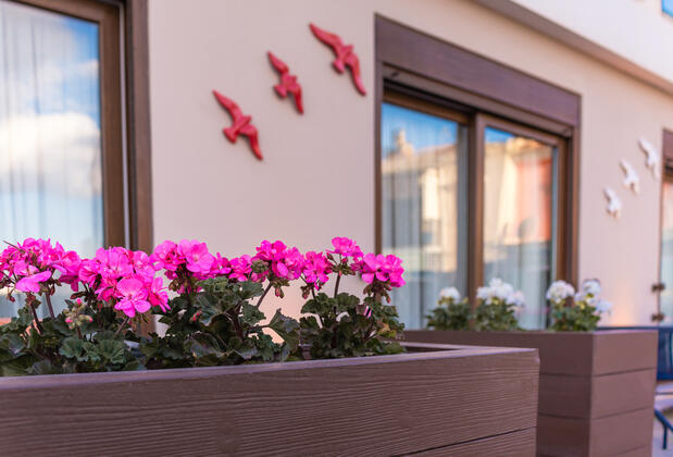 Eleven Hotel - Görsel 5