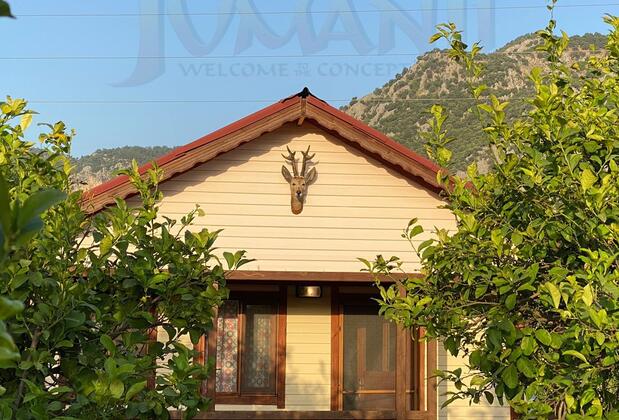 Jumanji Concept - Görsel 5