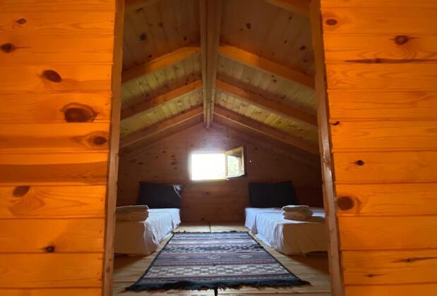 Jumanji Concept - Görsel 18