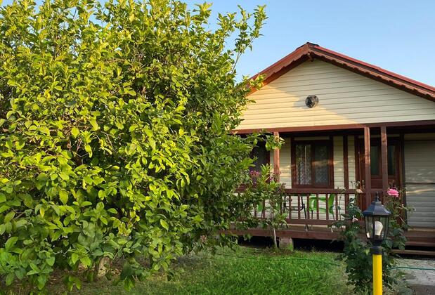 Jumanji Concept - Görsel 4