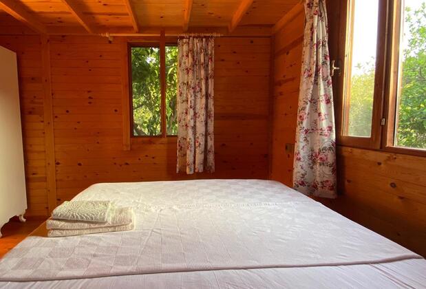 Jumanji Concept - Görsel 19