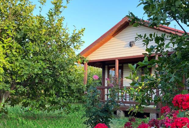 Jumanji Concept - Görsel 7