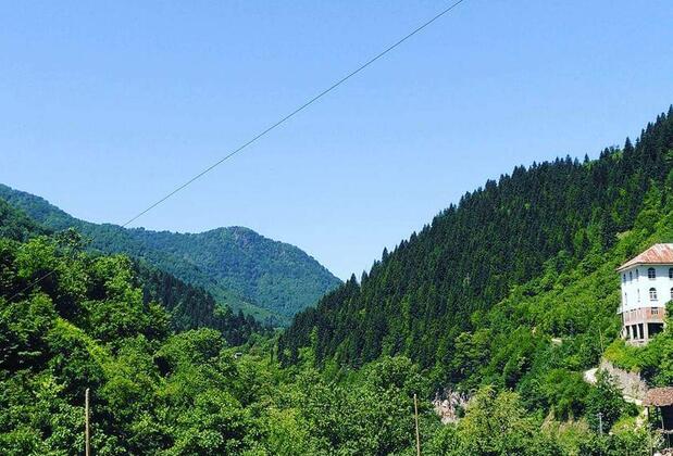 Gogalay Bungalov Hotel - Görsel 6