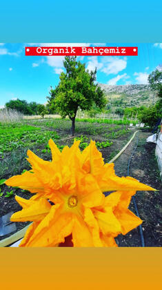 İrene Pansiyon - Görsel 36