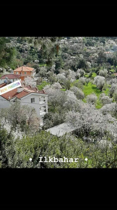 İrene Pansiyon - Görsel 46