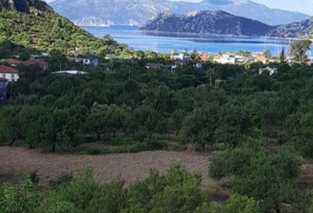 İrene Pansiyon - Görsel 50