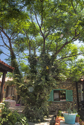 THE CASTLE GÖKÇEADA - Görsel 3