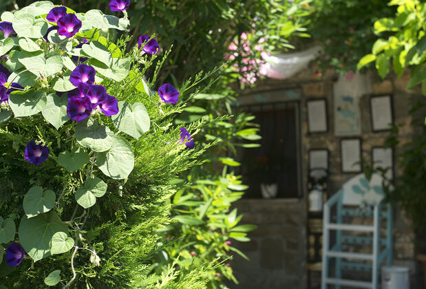 THE CASTLE GÖKÇEADA - Görsel 9