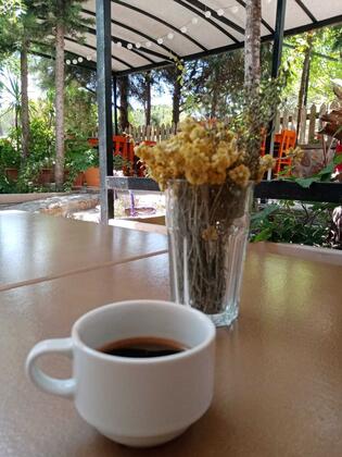 Bozcaada Zeytin Suite Pansiyon - Görsel 5