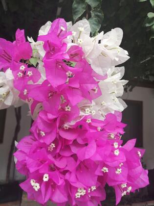 Berke Cafe Pansiyon - Görsel 7