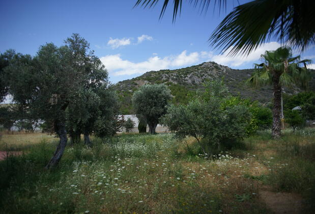 Patara Caretta Hotel - Görsel 47