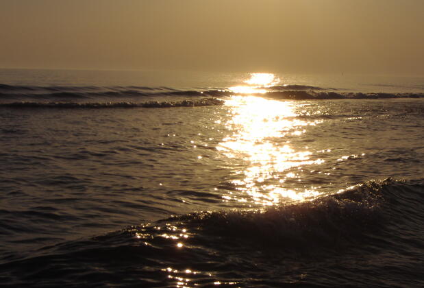 Patara Caretta Hotel - Görsel 46