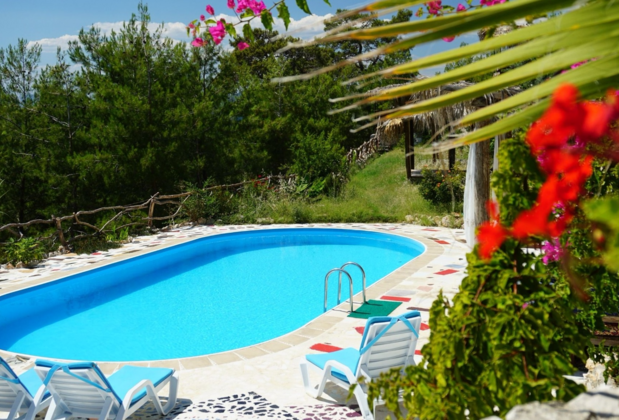 Honey Hill Faralya - Görsel 2