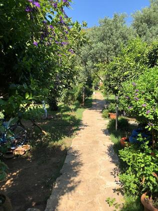 Turkuaz Bungalows - Görsel 10