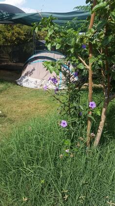 Ayyıldız Camping - Görsel 3