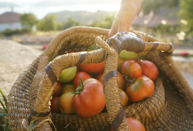 Villa Derin Söğüt - Görsel 26