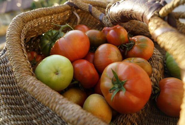 Villa Derin Söğüt - Görsel 33