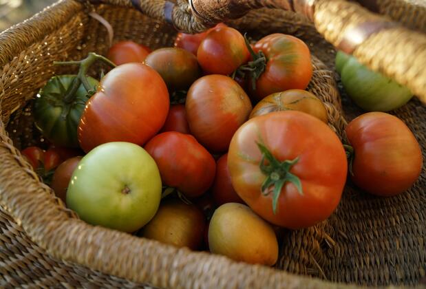 Villa Derin Söğüt - Görsel 44