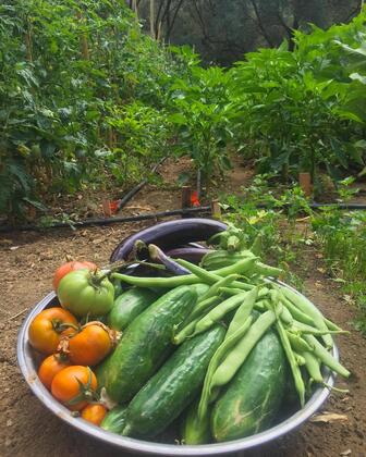 Datça Base Camp - Görsel 9