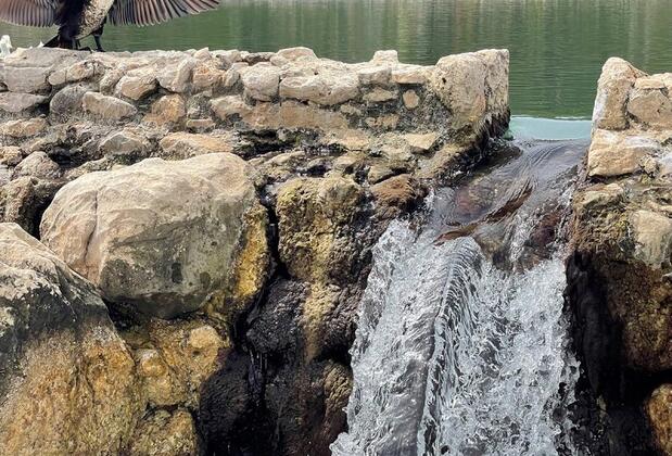 Ilıcalı Camping - Görsel 3