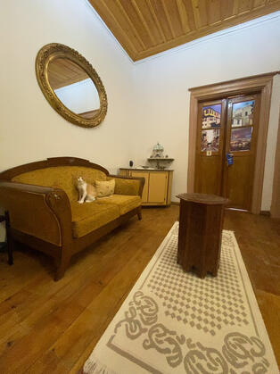 Ayvalık Kadriye Hanım Konağı - Görsel 5