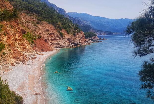 Honey Hill Faralya - Görsel 12