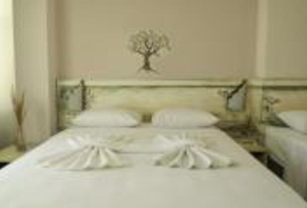 Pedasos Altınel Otel - Görsel 12