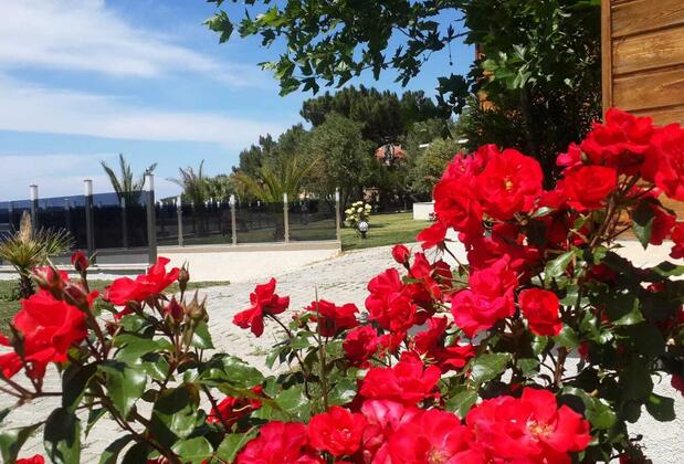 Dolunay Bungalow Beach Club - Görsel 8