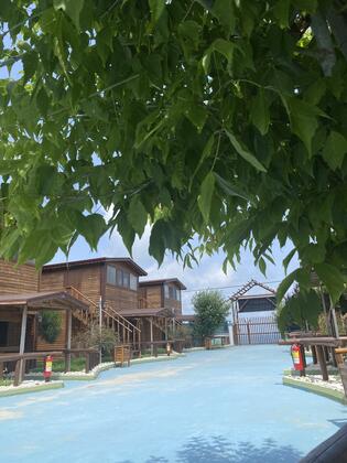 Harmankaya Bungalov - Görsel 6