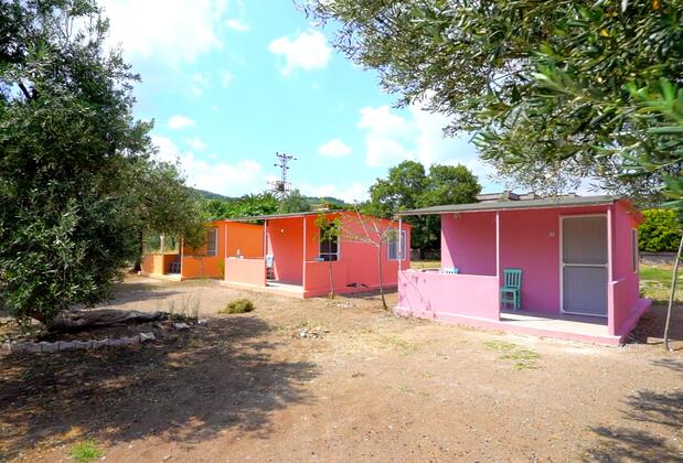 Assos Apollon Bungalow Restaurant - Görsel 3