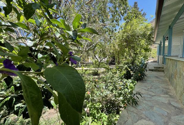 Turgut Apart - Görsel 24