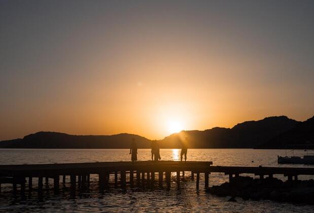 Panjur Söğütköy - Görsel 6