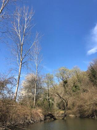 Kıyıköy Limon Otel - Görsel 23