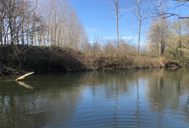 Kıyıköy Limon Otel - Görsel 25