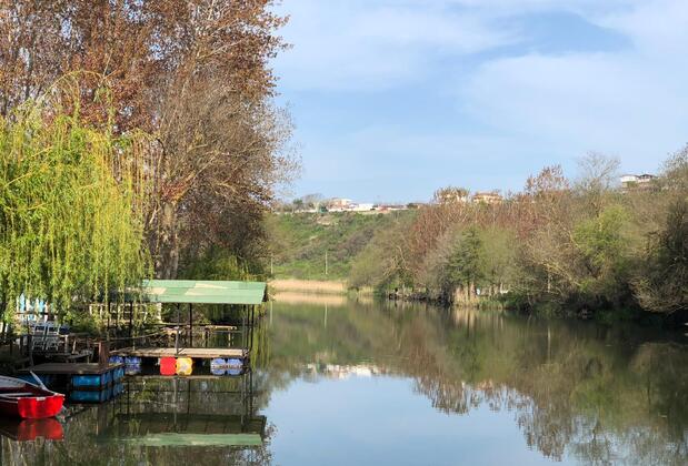 Kıyıköy Limon Otel - Görsel 37