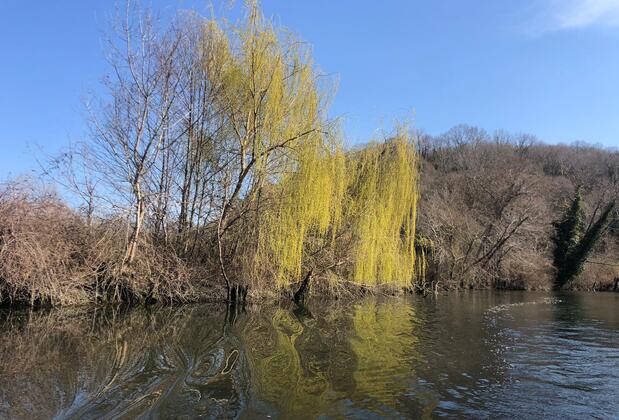 Kıyıköy Limon Otel - Görsel 39