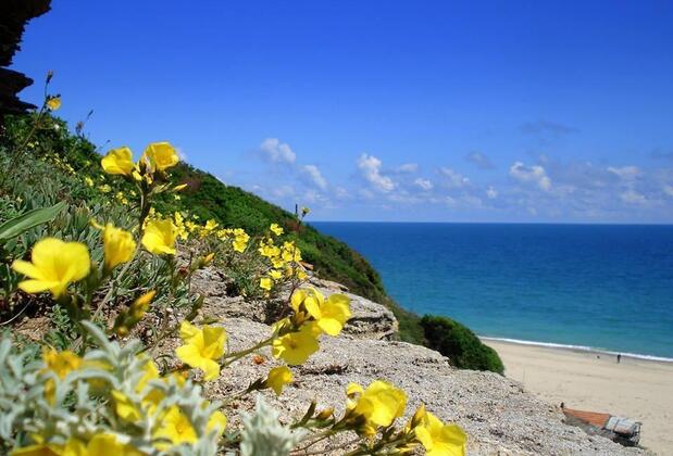 Kıyıköy Limon Otel - Görsel 22