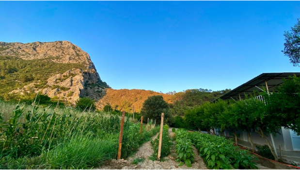Adrasan Antalya Yeşilbahçe Pansiyon - Görsel 18