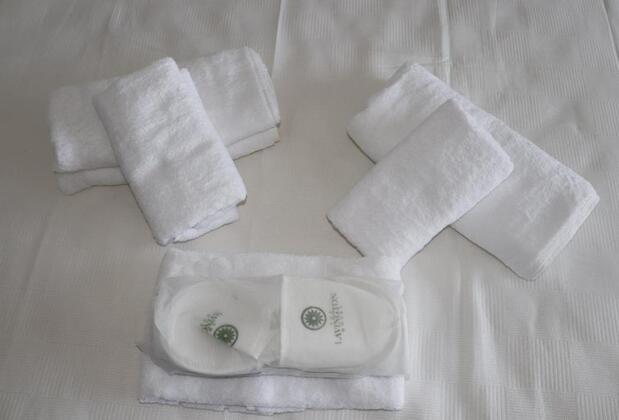 The lavington Hotel - Görsel 25