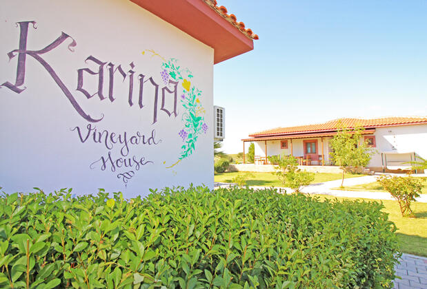 Karina Vineyard House +15 Adult Only - Görsel 5