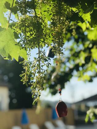 Cennet Hotel - Görsel 29