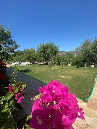 Nirvana Butik Otel - Görsel 34