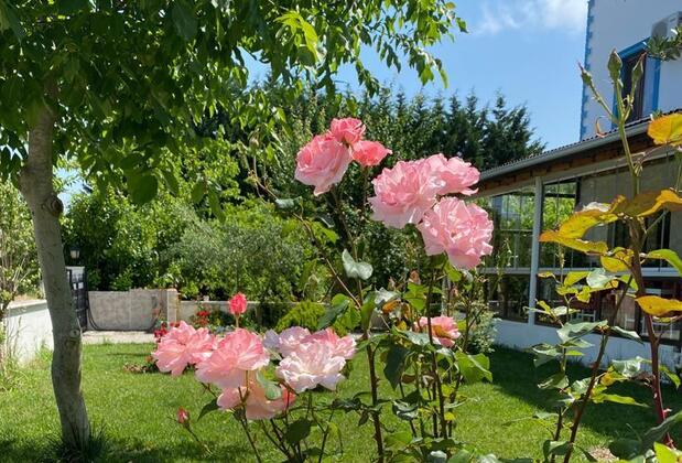 Kumcağız Moni Otel - Görsel 8