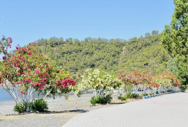 Santana Villas - Görsel 35