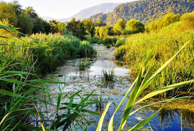 Santana Villas - Görsel 38