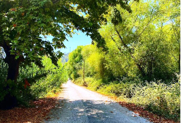 Santana Villas - Görsel 37