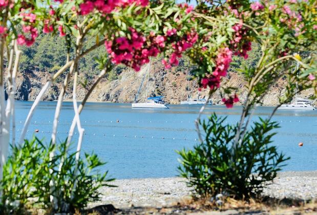 Santana Villas - Görsel 34