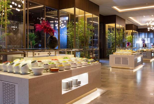 Ng Sapanca Enjoy - Görsel 17