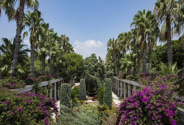 Tui Magic Life Belek - Görsel 17